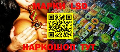 трава Кудрово