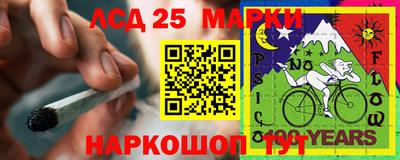 трава Кудрово