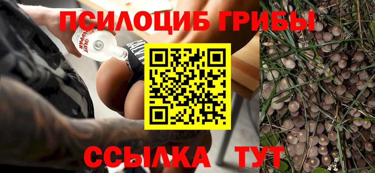 Галлюциногенные грибы Psilocybe  Псилоцибиновые грибы мухоморы  Вход с VPN  Гурьевск 
